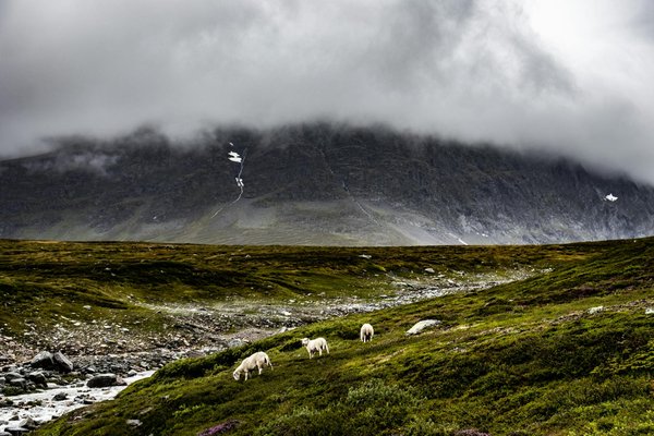 Unlock Affordable Entry: Your Guide to Scoring Low-Cost Tickets for the Tower of London